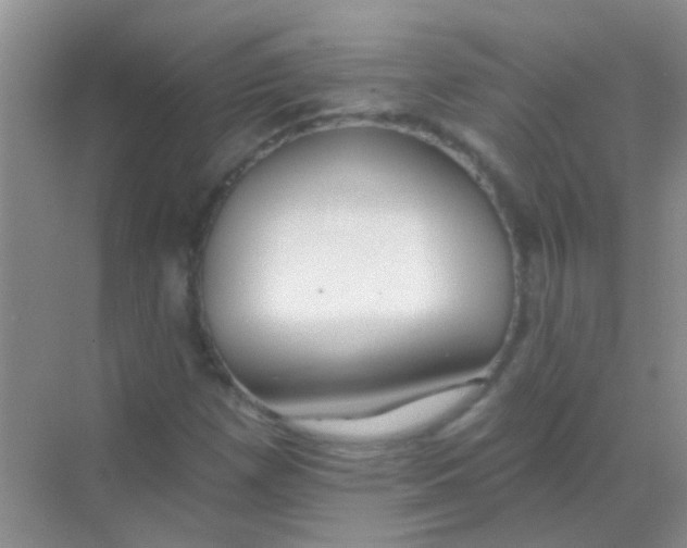 X0000068291257200605121929