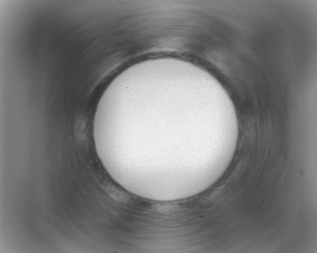 X0000068291258200605121929