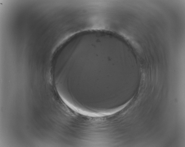 X0000068291262200605121929