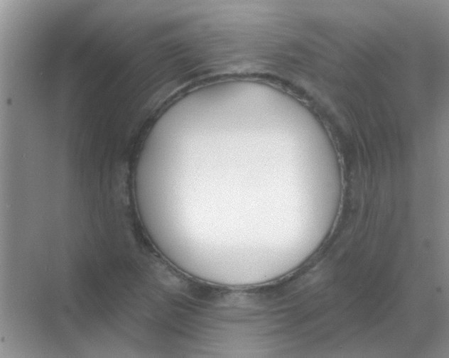 X0000068291265200605121929