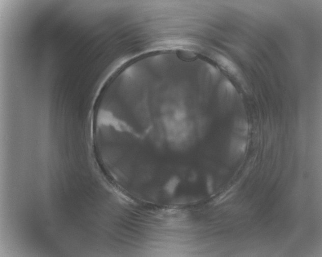 X0000068291275200605121928