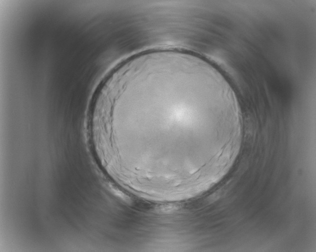 X0000068291278200605121928