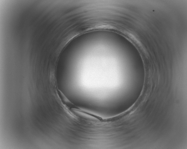 X0000068291281200605121928