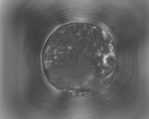 X0000068291283200605121928