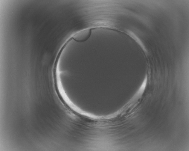 X0000068291291200605121928