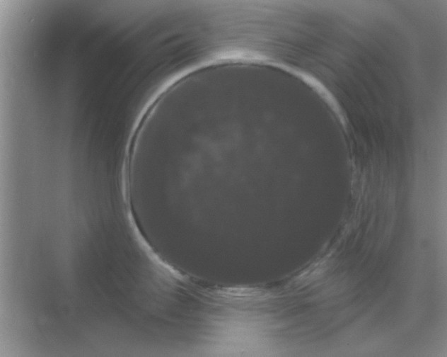 X0000068291295200605121928