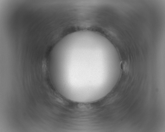 X0000068291299200605121927