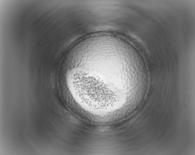 X0000068291313200605121928