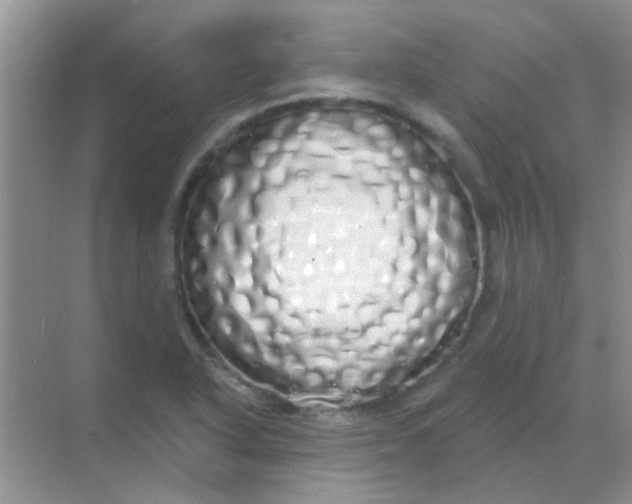 X0000068291318200605121928