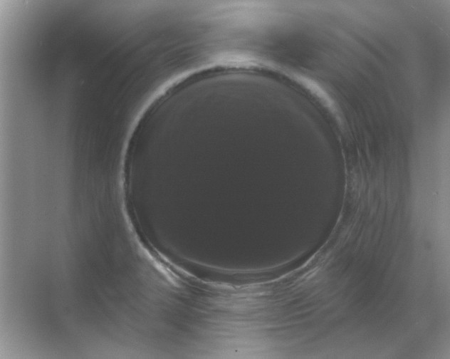 X0000068291327200605121928