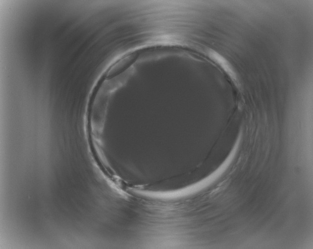 X0000068291334200605121928