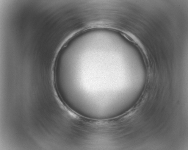 X0000068291341200605121928