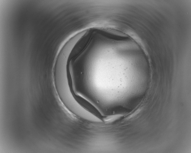 X0000068291344200605121928
