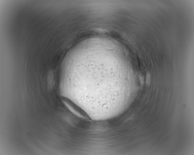 X0000068291347200605121927