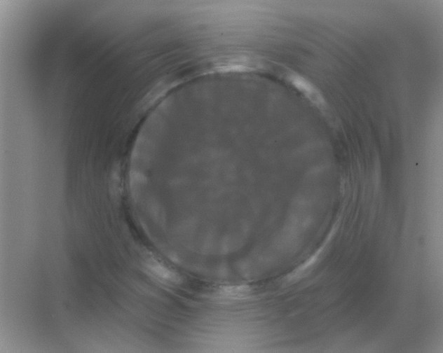 X0000068291353200605121927