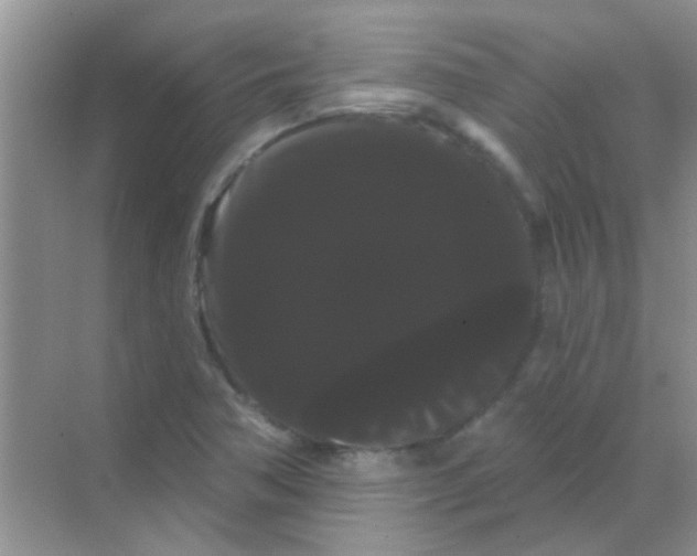 X0000068291362200605121927