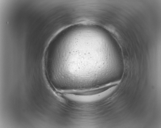 X0000068291375200605121927