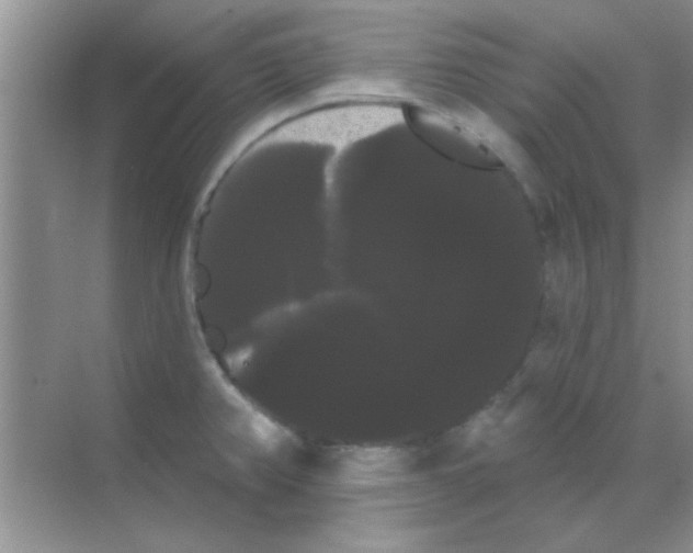 X0000068291382200605121927