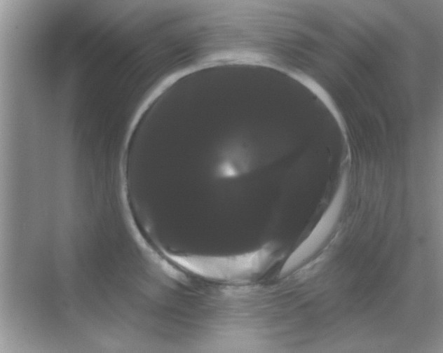 X0000068291389200605121927