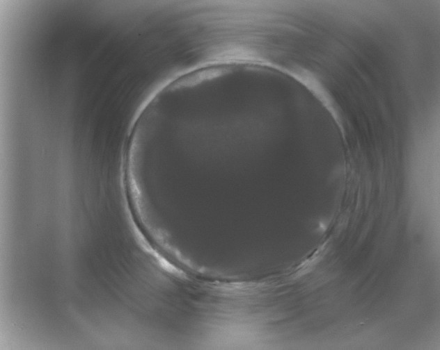 X0000068291390200605121926
