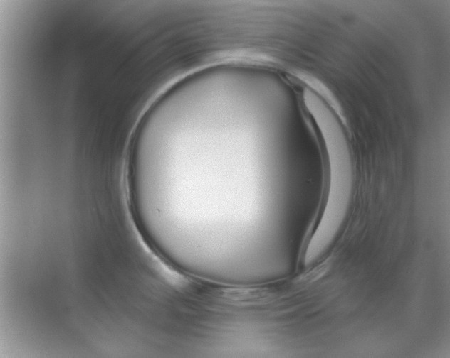 X0000068291391200605121926