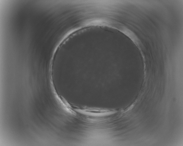 X0000068291392200605121926
