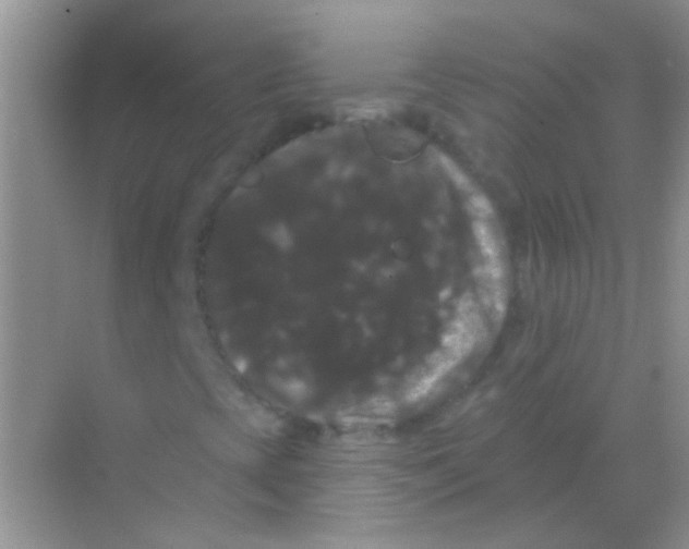 X0000068291393200605121926
