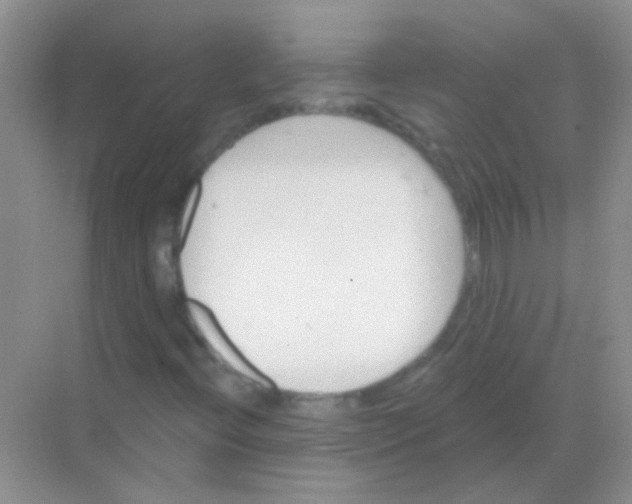 X0000068291396200605121926