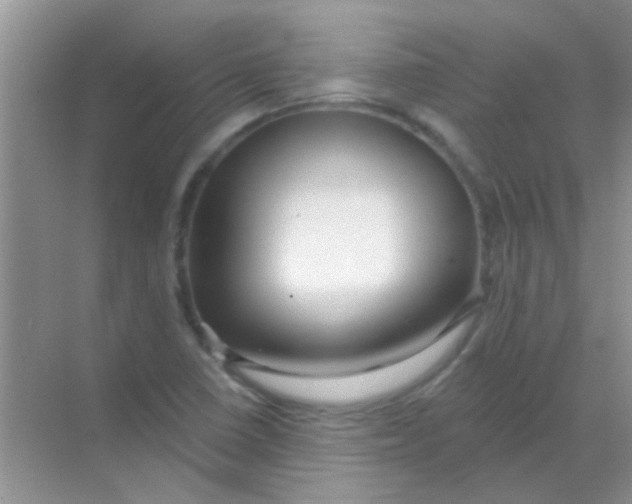 X0000068291410200605121926