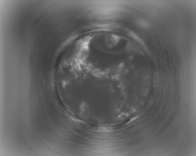 X0000068291411200605121926