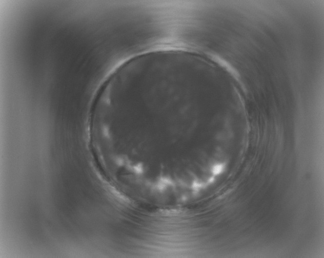 X0000068291415200605121926