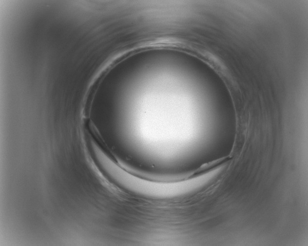 X0000068291422200605121926