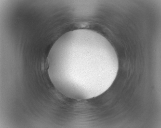 X0000068291442200605121926