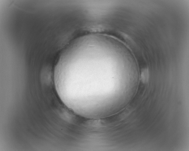 X0000068291444200605121926