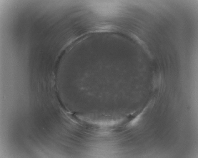 X0000068291449200605121925