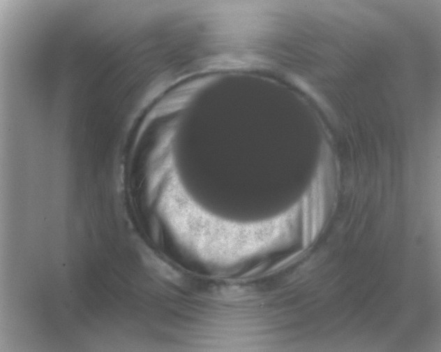 X0000068291459200605121925