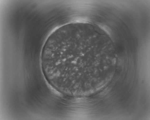 X0000068291471200605121925