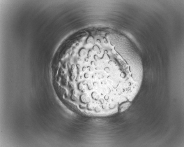 X0000068291476200605121925