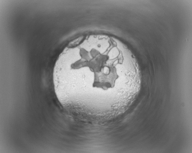 X0000068291494200605121924