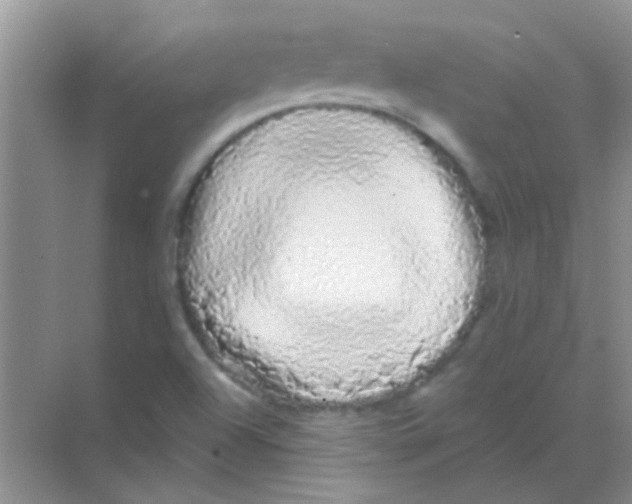 X0000068291504200605121924