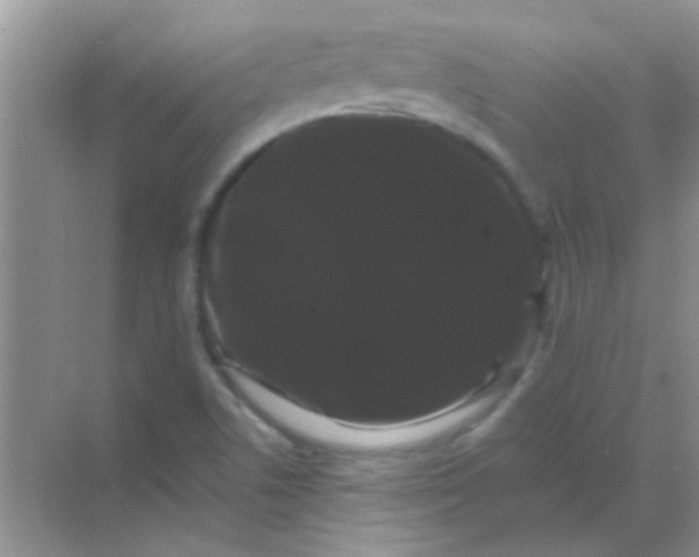 X0000068291506200605121924