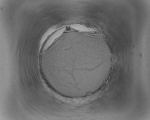 X0000068290006200605191930