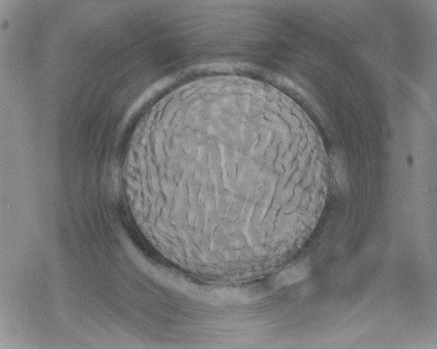 X0000068290016200605191930