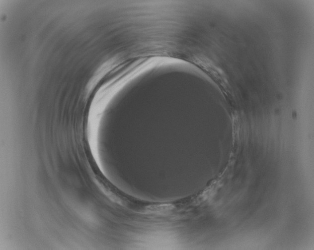 X0000068290051200605191928
