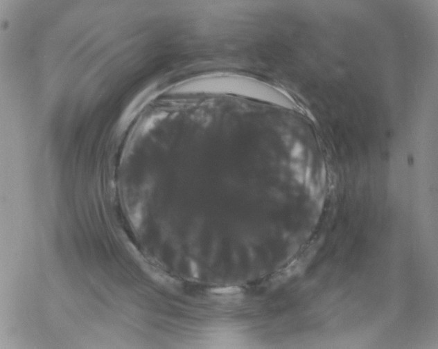 X0000068290053200605191928