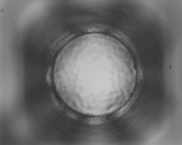 X0000068290074200605191929