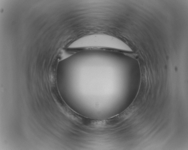 X0000068290084200605191929