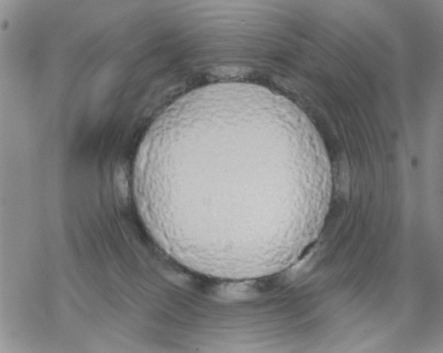 X0000068290086200605191929