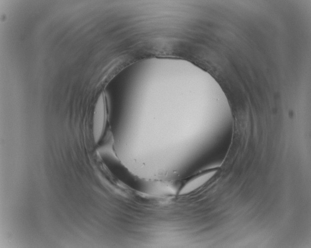X0000068290092200605191929
