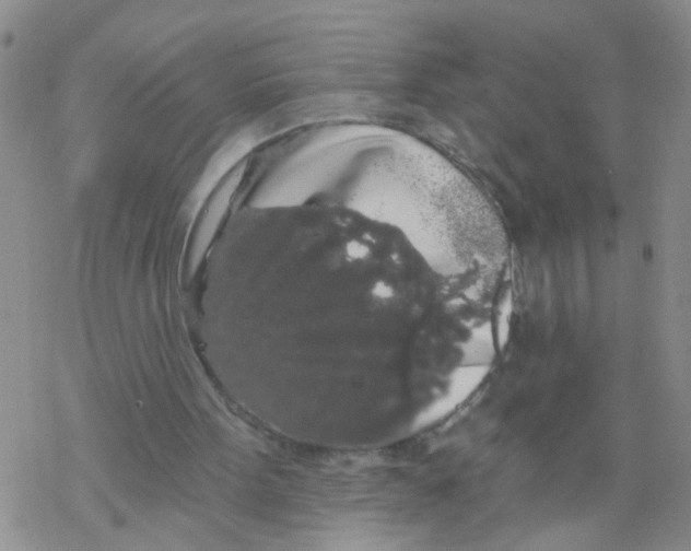 X0000068290099200605191928